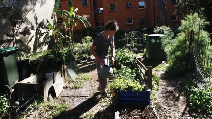 NIMBY fight erupts over 'substandard' inner west community garden