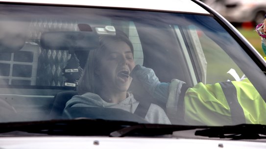 Coronavirus Pandemic 2020. Cars queued today for nearly a kilometre to attend a pop-up mobile clinic in Victoria Park, Picton after a spike in the area and transmission traced back to the Picton Hotel. Photograph by Dean Sewell