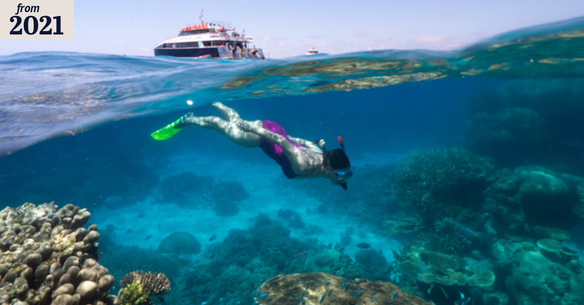 Qld tourism industry could receive more voucher schemes to revive COVID ...