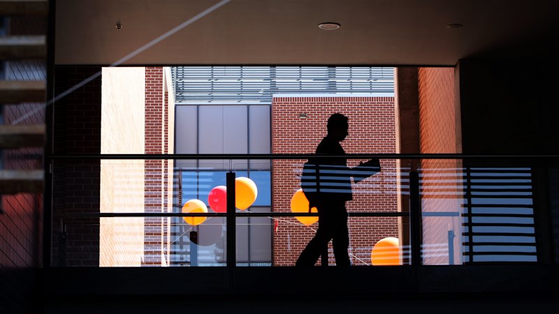 Western Sydney students, graduates told university degrees ‘revoked’ in email scam