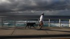 Scientists have speculated that exercise might directly change the biochemical environment inside the brain, without involving muscles.