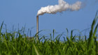 Sugar cane farming needs reliable milling infrastructure.