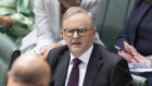 Opposition Leader Peter Dutton gave Anthony Albanese some exasperating moments in parliament this week.