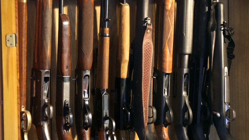Firearms reforms may not be in place until September, police minister reveals
