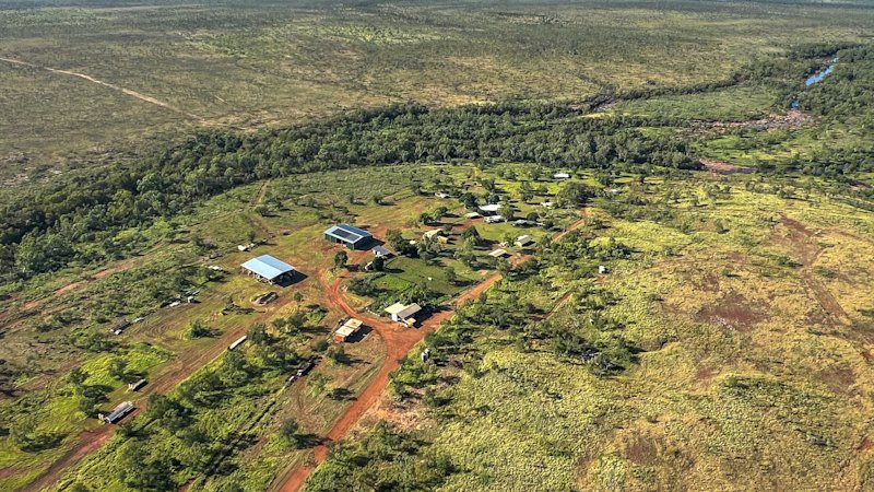 Cattle family makes $20m bid for 111,000-hect ...