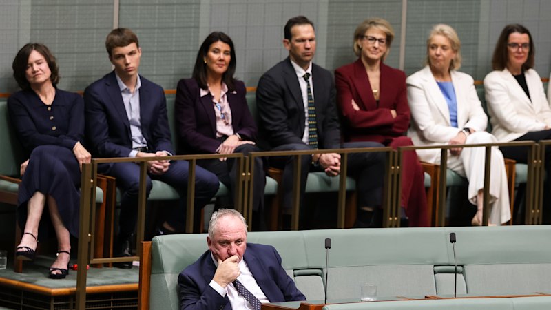 Barnaby Joyce says One Nation price for backing Angus Taylor amid hung parliament talk