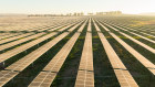 The Wellington solar farm in NSW is one of the five that Beijing Energy International wants to buy.