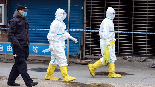 In this Jan. 27, 2020, file photo, workers in protective gear carry a bag containing a giant salamander that was reported to have escaped from the Huanan Seafood Market in Wuhan.
