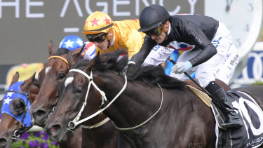 Golden Eagle 2019 Tricolours Racing Syndications Boss James