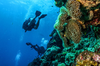 The United Nations’ heritage organisation, UNESCO, has warned the Great Barrier Reef is in danger.