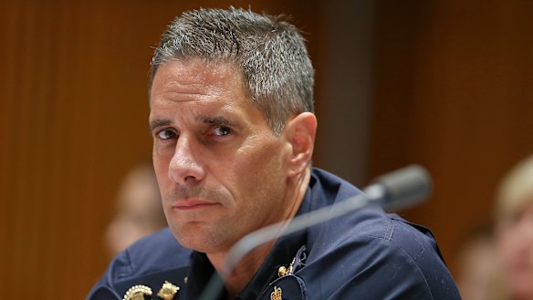 Former Australian Border Force Commissioner Roman Quaedvlieg has intervened in the Senate inquiry into Home Affairs Minister Peter Dutton.