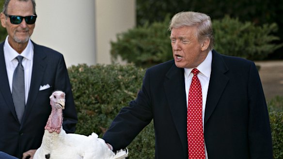 I'll leave political turkeys for others. 