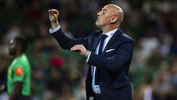 Keeping composed: Victory coach Kevin Muscat.