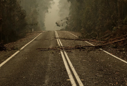 Large sections of the Princes Highway in East Gippsland have been cut off by the bushfires.