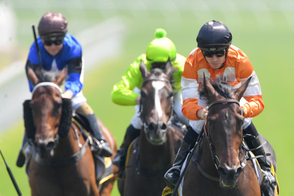 Lashes is expected to go around an odds-on chances of making it back-to-back wins at Rosehill on Saturday.