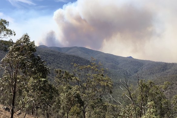 In early December, the Green Wattle Creek fire was only just getting going.  