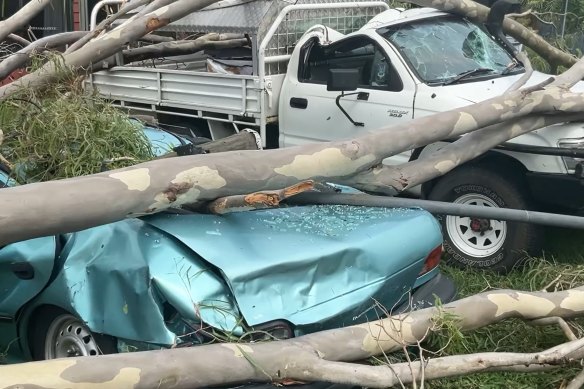 In the Townsville suburb of Kelso, Tropical Cyclone Kirrily brought down power lines and trees, crushing two cars.