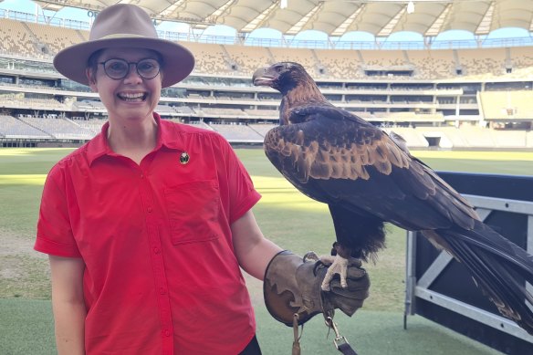 Happy “bird nerd” Dr Ann Jones with a wedge-tailed eagle in The Secret Life of Urban Birds: Perth.