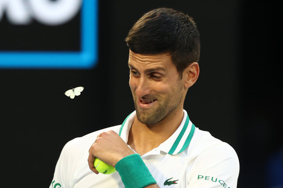 Novak Djokovic’s ability to recover from injury mid-match has become one of the world No.1’s calling cards.