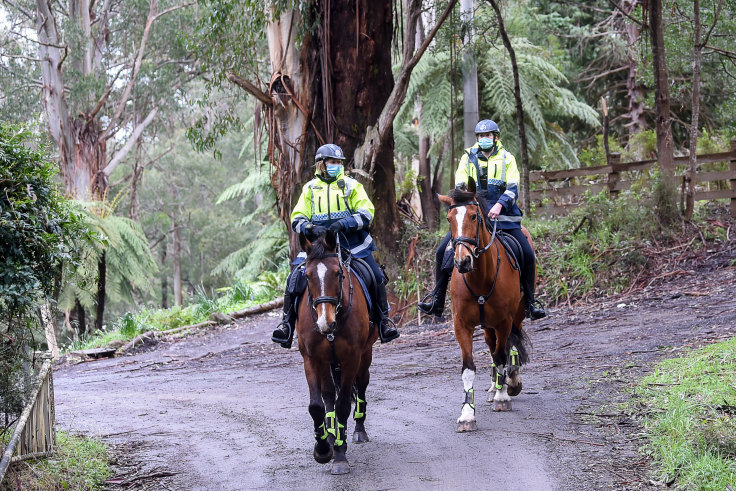 William Wall Dad Of Energetic Missing Teen Asks Searchers To Approach Him Calmly