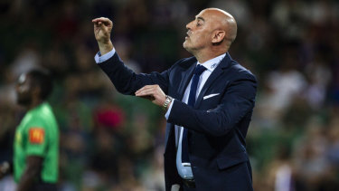 Keeping composed: Victory coach Kevin Muscat.