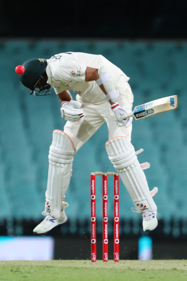 Bouncer cricket hot sale