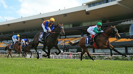 Castelvecchio takes out the group 1 Rosehill Guineas in front of an empty grandstand.