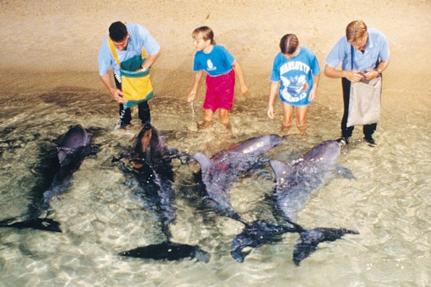 Tangalooma Island Resort in the 2000’s