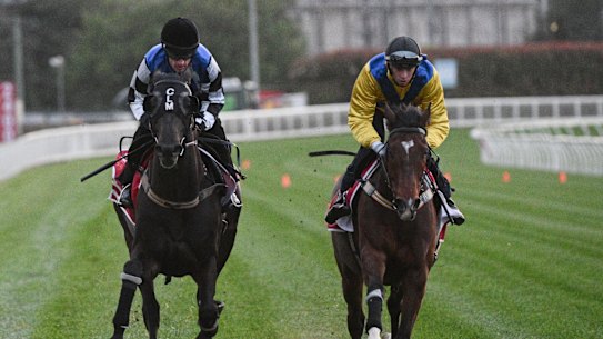 Michael Dee on Right You Are (right) at Caulfield last month.