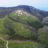 An area of collapsed forest that will be reseeded as part of the trial.