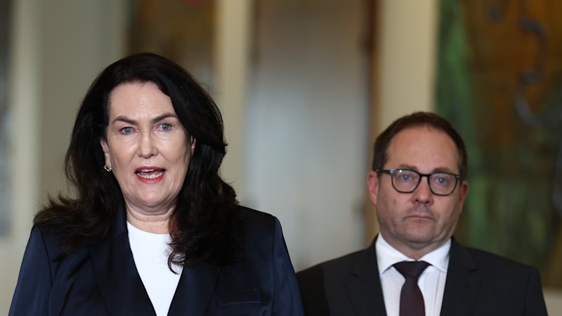Senator Deborah O’Neill calls for disrupting consulting firms’ culture amid PwC and KPMG scandals