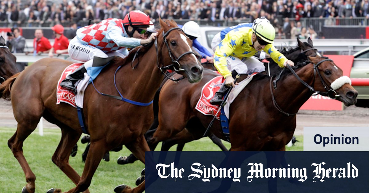 Melbourne Cup 2022: Why I will be watching the race with trepidation - Vimarsana News