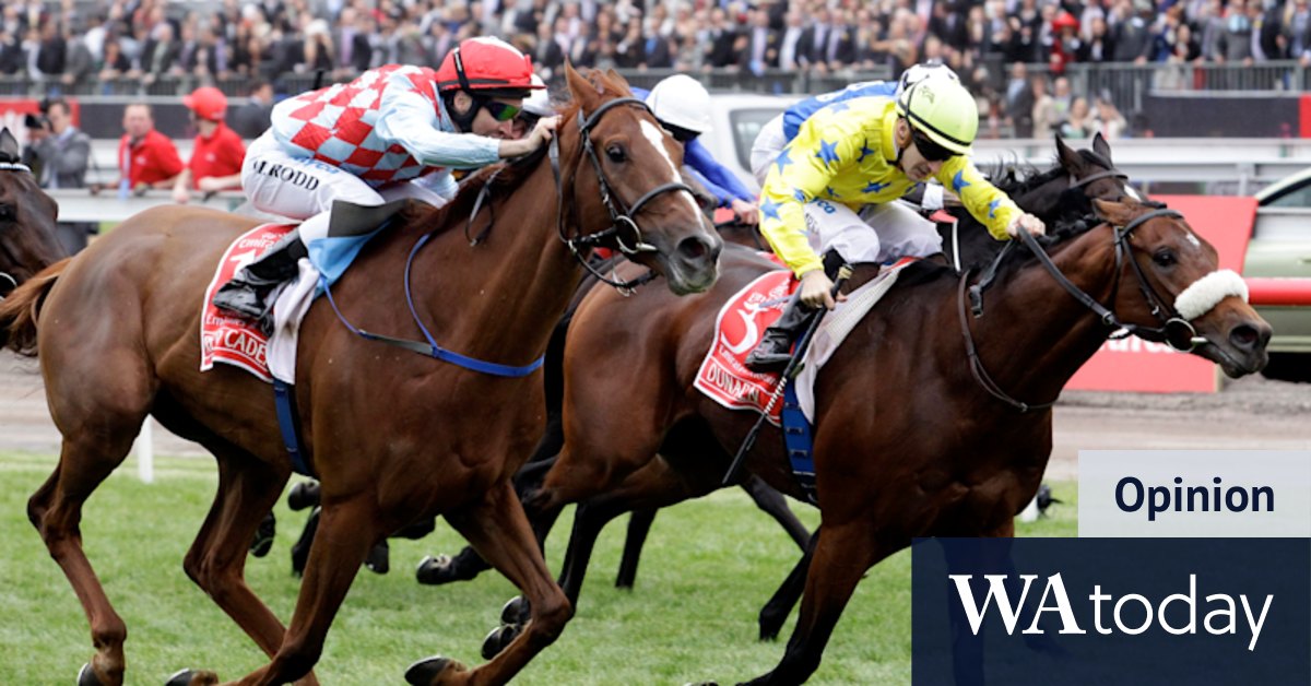 Melbourne Cup 2022: Why I will be watching the race with trepidation - Vimarsana News