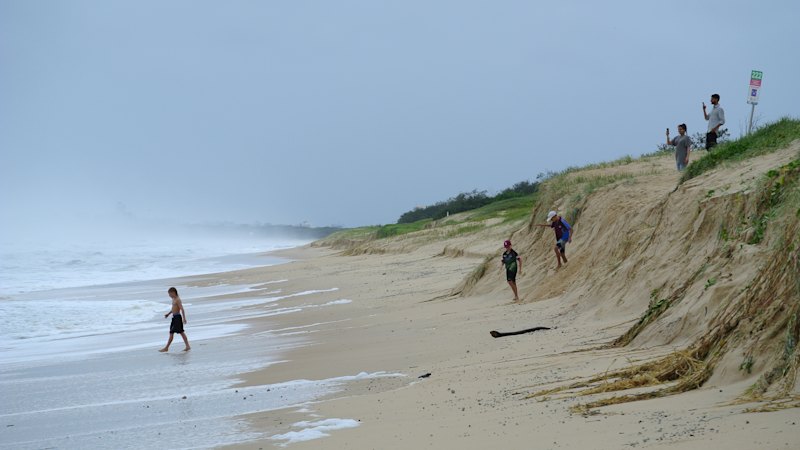 Search launched for missing swimmer on Sunshine Coast
