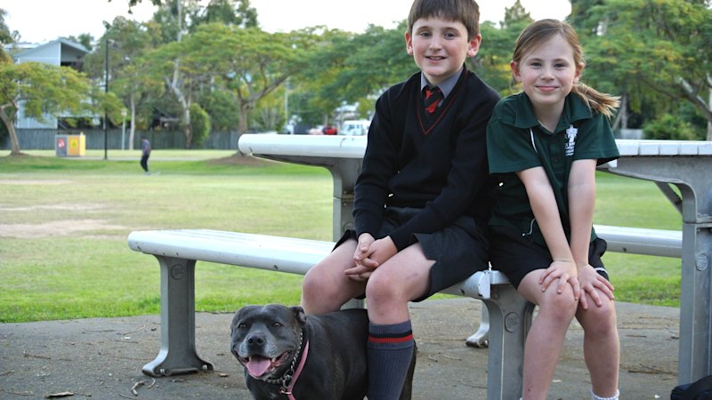 Independent schools use NAPLAN results in enrolment decisions, report says