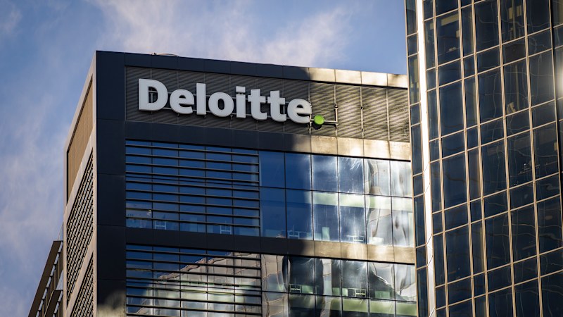 Deloitte and KPMG harvest magnificent $31m audit