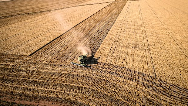 Agriculture has previously been identified as an industry that is highly dependent on nature.