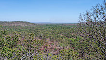 (Stock Image) A man has been hurt in a hut and run on a remote road more than 100km from Darwin﻿.