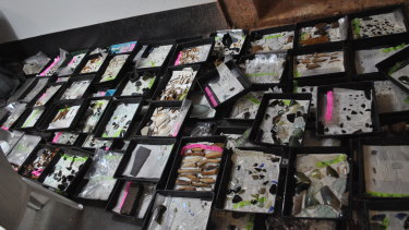  Items discovered during the dig.
