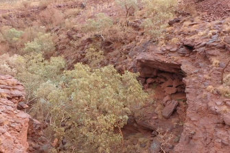 Before it was destroyed by Rio Tinto, the Juukan Gorge in WA held evidence of human habitation dating back 46,000 years.
