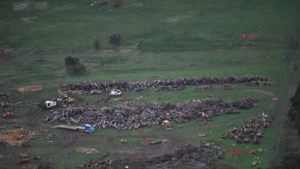 Tree removal along the Western Highway between April and June in 2015 during the first stage of duplication works,  between Beaufort and Buangor. 