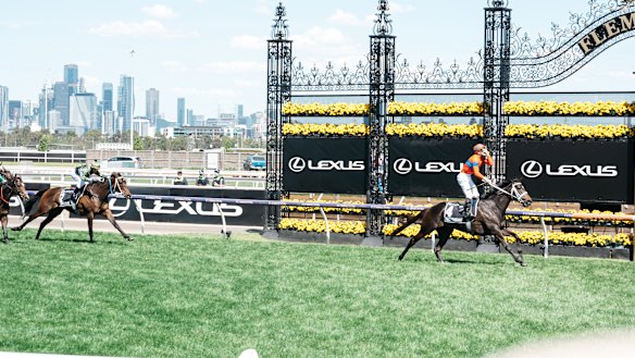 James McDonald winning the Melbourne Cup on Verry Elleegant.