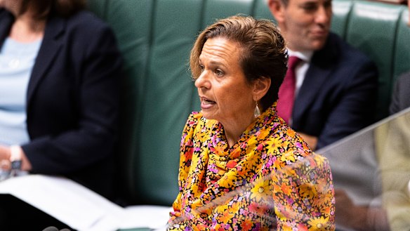 Communications Minister Michelle Rowland.