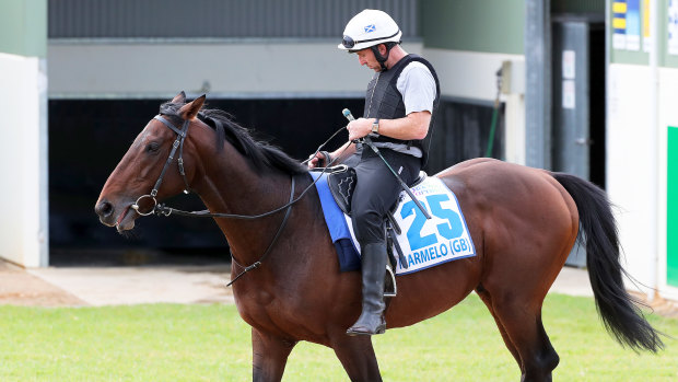 Marmelo earlier this month at trackwork at Werribee.