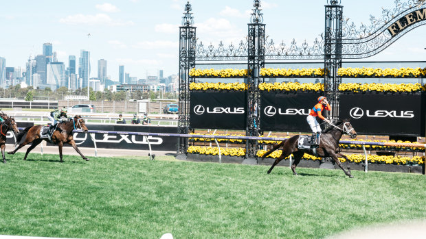 James McDonald winning the Melbourne Cup on Verry Elleegant.