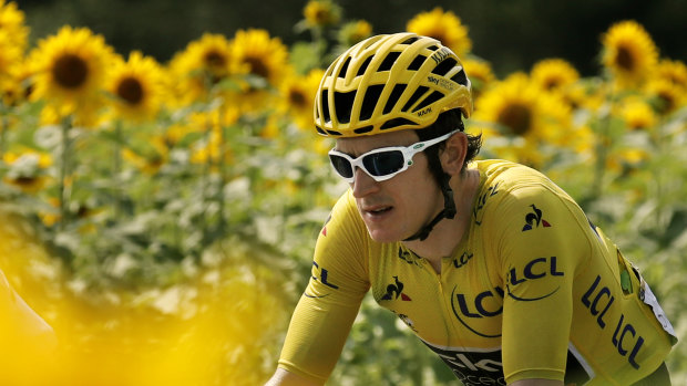 Geraint Thomas, wearing the overall leader's yellow jersey, passes through fields of sunflowers during stage 18.