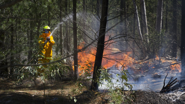 ACT rural firefighters working on the fireground on Saturday. 