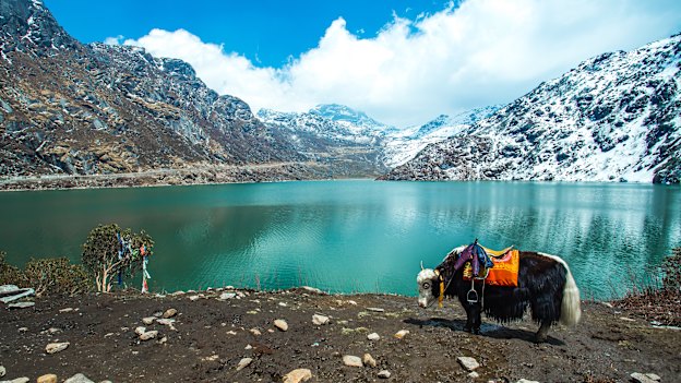 Out of this world: Tsangmo Lake in Sikkim, India. 