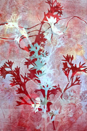 Jo Hollier, <i>Hakea</i>, in <i>Collection and Obsession</i>, detail,  at Form Studio and Gallery.
