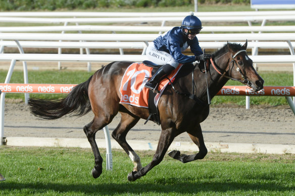 Do You Reckon will line up in the Melbourne Cup Country Carnival Final on Oaks Day.